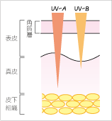 UV